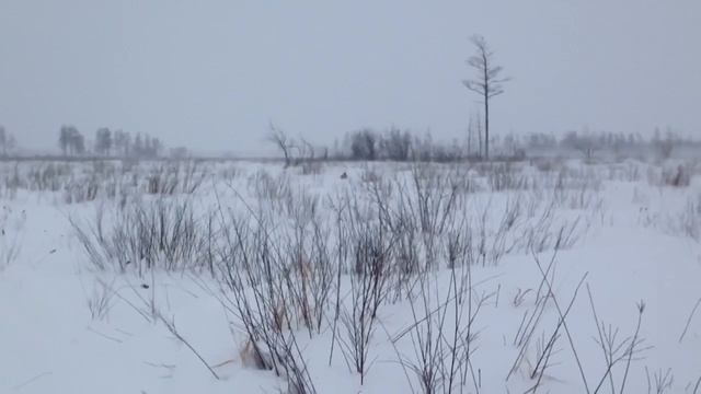 касуля смотреть онлайн