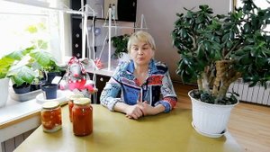 Невысокий малиновый гигант - огромный розовый томат