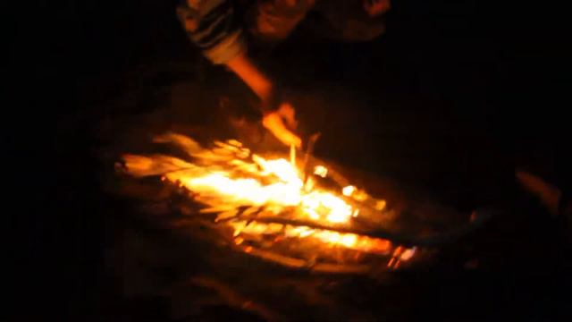 С днём рождения, Сова! смотреть онлайн