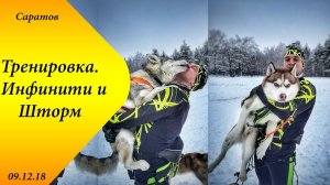 скиджоринг тренировка. хаски кумыска. Инфинити Шторм