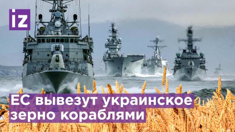 Зерно из Украины хотят вывозить военными кораблями / Известия