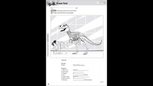 Exam test 5 - 8 Audio 13