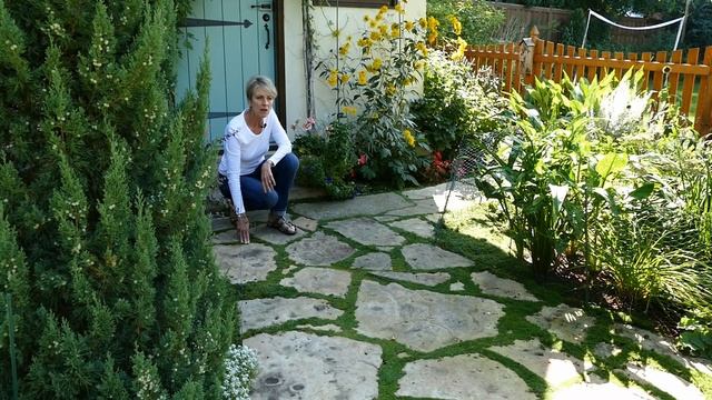 Irish Moss Care and Propagation: Part 1 смотреть онлайн