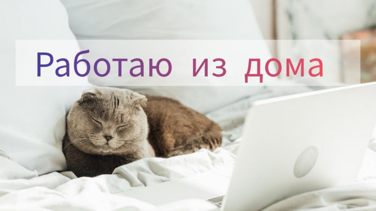 РАБОТА НА УДАЛЕНКЕ | Работаю тестером из дома 8 часов