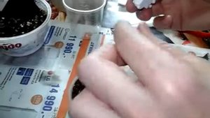 Укоренение головы фиалки