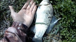 Рыбалка на КМВ, х. Калаборка, Ставропольский край