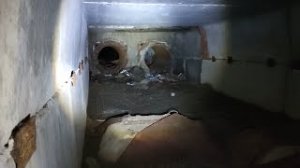 Заброшка "Студенческий городок" в Ярославле (10.10.2021)