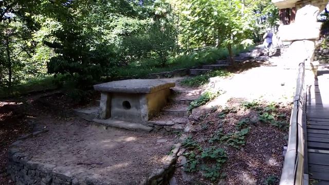 Сочинский дендрарий 2020 смотреть онлайн