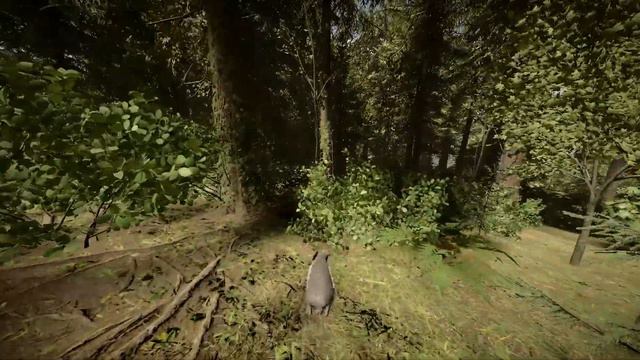 Playing As A Rabbit NPC | Sons of the Forest Mods