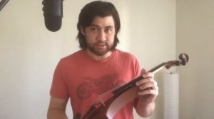 Gewa Novita 3.0 Electric Violin Review