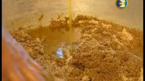 Я учу башкирский язык  Тема  Талкан