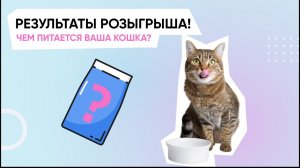 Результаты розыгрыша «Чем питается ваша кошка?»