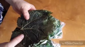 Замораживание виноградных листьев и зелени.