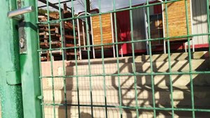 ? СОЛОНИКИ 2020. Дикий пляж.