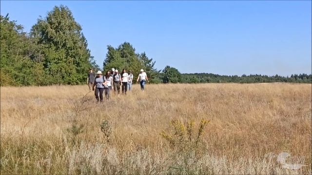 Вёшенские хождения