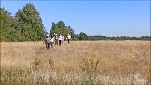 Вёшенские хождения