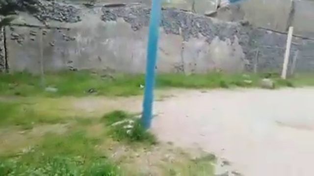 Фиалки... смотреть онлайн