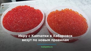 Икру с Камчатки в Хабаровск везут по новым правилам