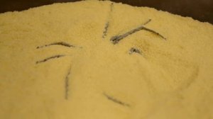 САМЫЙ ЯДОВИТЫЙ ПАУК ЮЖНОЙ АФРИКИ - ИНТЕРЕСНЫЕ ФАКТЫ О ЯДОВИТЫХ ЖИВОТНЫХ