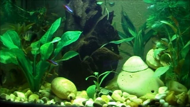 Релаксация смотреть онлайн