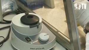 5 ВЫМЕРШИХ ЖИВОТНЫХ КОТОРЫХ УЧЕНЫЕ ХОТЯТ ВОСКРЕСИТЬ