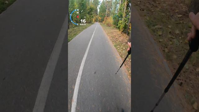 Полный спуск на роликах по лвдероллерной трассе. Отработка горнолыжной техники