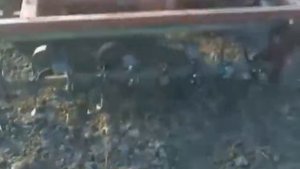 Самодельная фреза для трактора Т-25