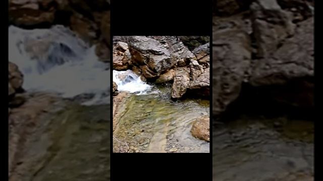Чарующие звуки ручья в лесу, пение птиц, звуки природы
