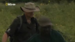 Дикий мир Африки. Призраки Серенгети