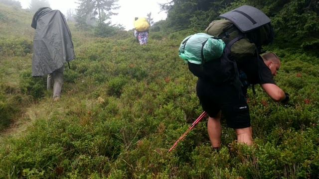 Зіниця горіха  гірська  Тревел-кліп з походу в Карпати