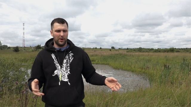 Воспитываем лабрадора. Выдержка.