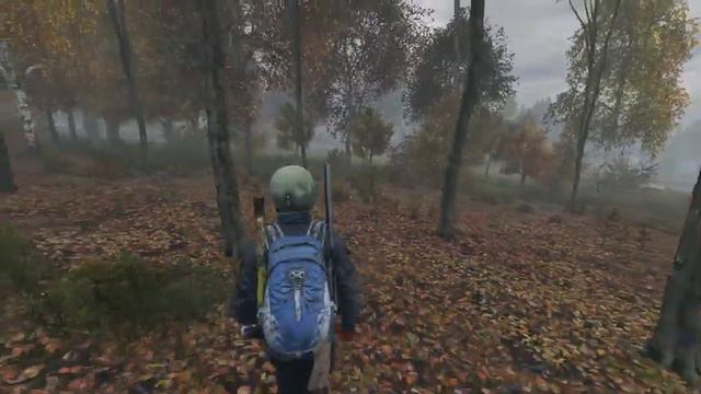 Получил секретные координаты DayZ ► Соло выживание DayZ PVP