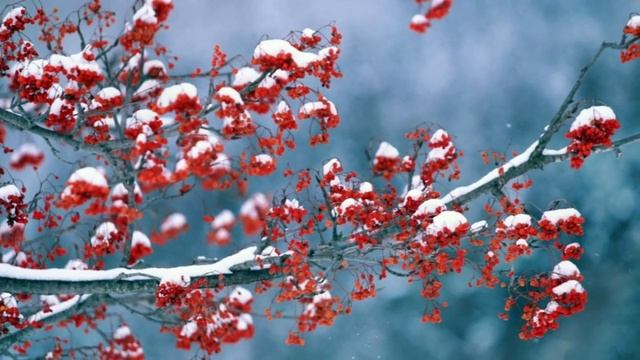 ЖИЗНЬ НА НОВОЙ ЗЕМЛЕ (РАСТЕНИЯ В ПЯТОМ ИЗМЕРЕНИИ) смотреть онлайн