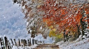 Музыка первого снега Лёгкий релакс пушистых снежинок