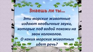 Эти забавные животные. Видео викторина. 4 октября -Международный день защиты животных..mp4