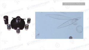 Фазово-контрастное устройство Микроскопа | Темное поле