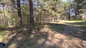 Ford Focus 4 Active. Клиренс-163мм. Правильный-универсал. Псков.