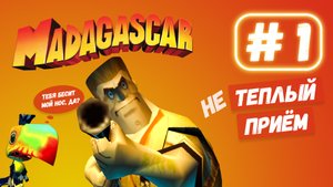 Такое обращение с животными законно? МАДАГАСКАР прохождение #1