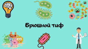 Брюшной тиф. Лекция для студента и практикующего врача.