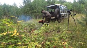 Они лежали здесь почти пол века! Достаю стальных "удавов" из ручья. Джесси проказница.