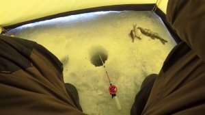 РЫБАЛКА НА РЕКЕ | ЗИМНЯЯ ЛОВЛЯ ПЛОТВЫ НА ТЕЧЕНИИ