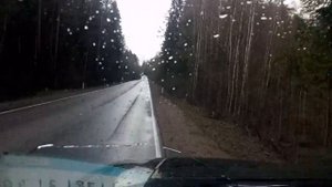 Оптимизировали? Дорога от Саперного на Мельниково, Ленинградская обл, Приозерский район