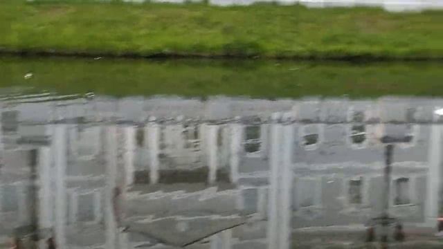 Лето в Калининграде / парк Юность