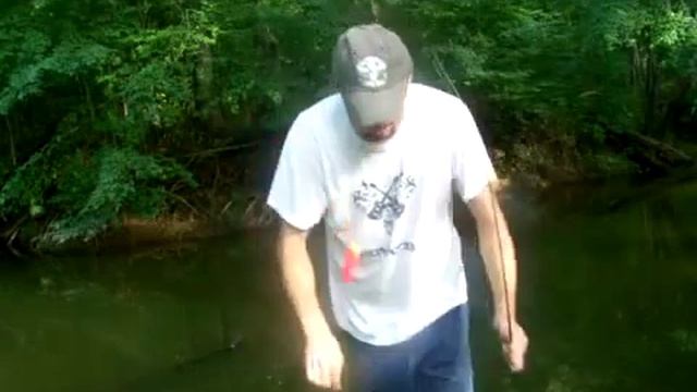 Американский сом на куриную печень часть 2 смотреть онлайн