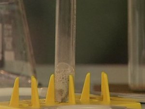 Химия. Опыты. Неорганика. Химические свойства углекислого газа