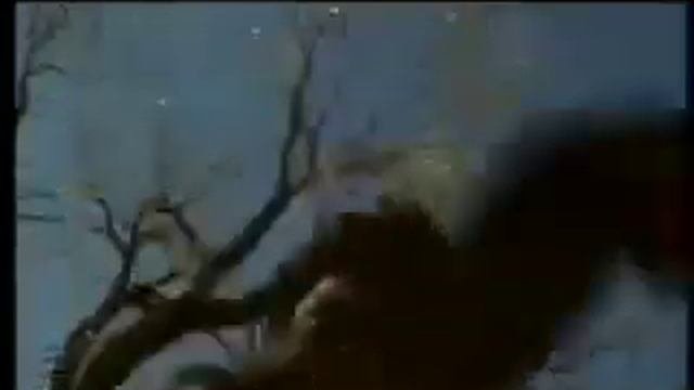 Прогулка (1971)