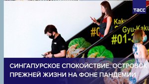Сингапурское спокойствие. Островок прежней жизни на фоне пандемии