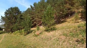 Мантуров Камень | Manturov Stone - Природа Урала | Ural nature