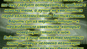 К чему снится мертвая птица