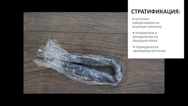 Выращивание ? ВИНОГРАДА ? из косточек как дважды два смотреть онлайн